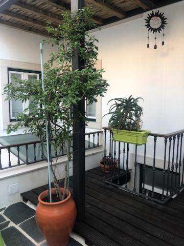 Courtyard House - Sun, Barbecue, Beach 塞辛布拉 外观 照片
